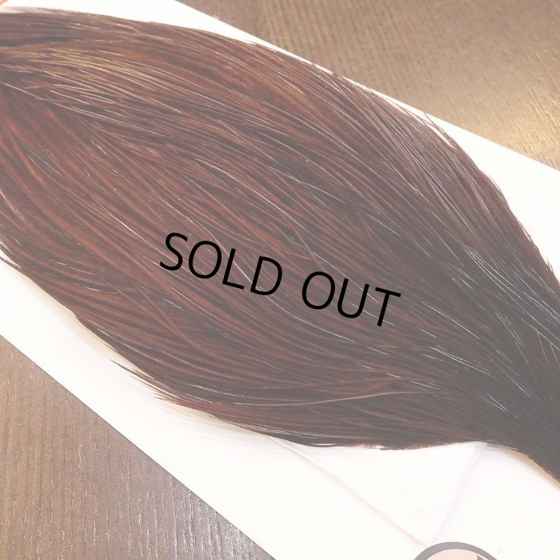 画像3: 【Whiting】ROOSTER CAPE Bronze Grade - DYED COACHMAN BROWN No.2 (3)