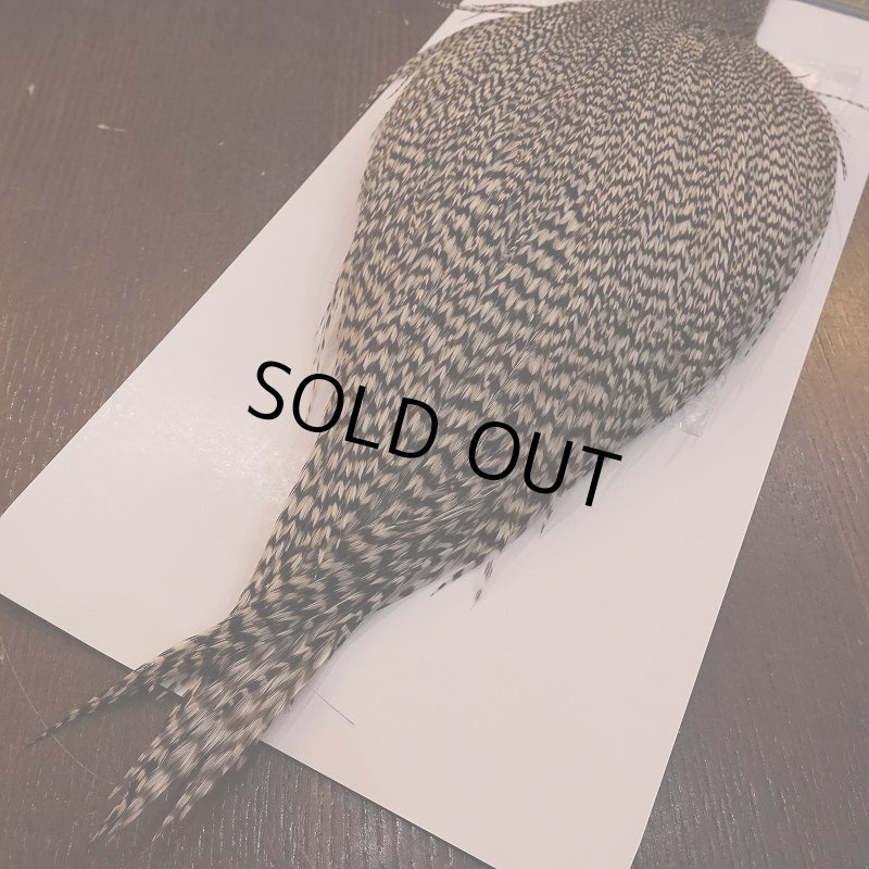 画像5: 【WHITING】High & Dry ROOSTER Cape - Grizzly No.2 (5)