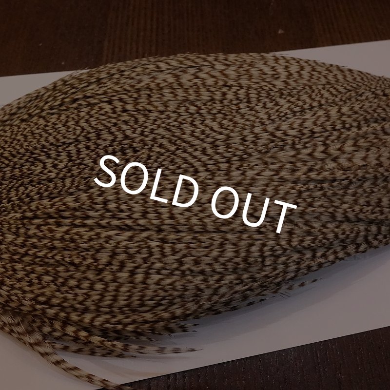 画像4: 【WHITING】High & Dry ROOSTER Cape - DUN GRIZZLY No.2 (4)