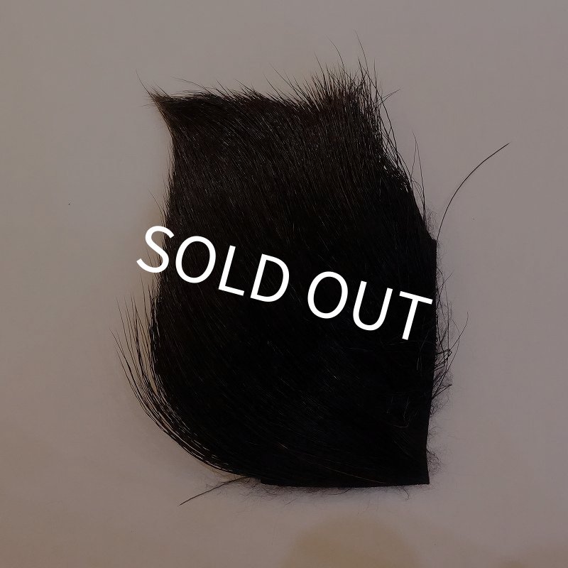 画像1: 【CANAL】SPINNING COW ELK - BLACK (1)