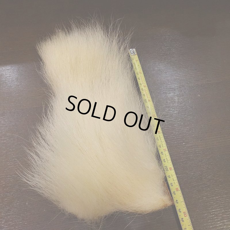 画像2: 【D】ポーラーベアー　ナチュラル　ラージカット 2 (2)