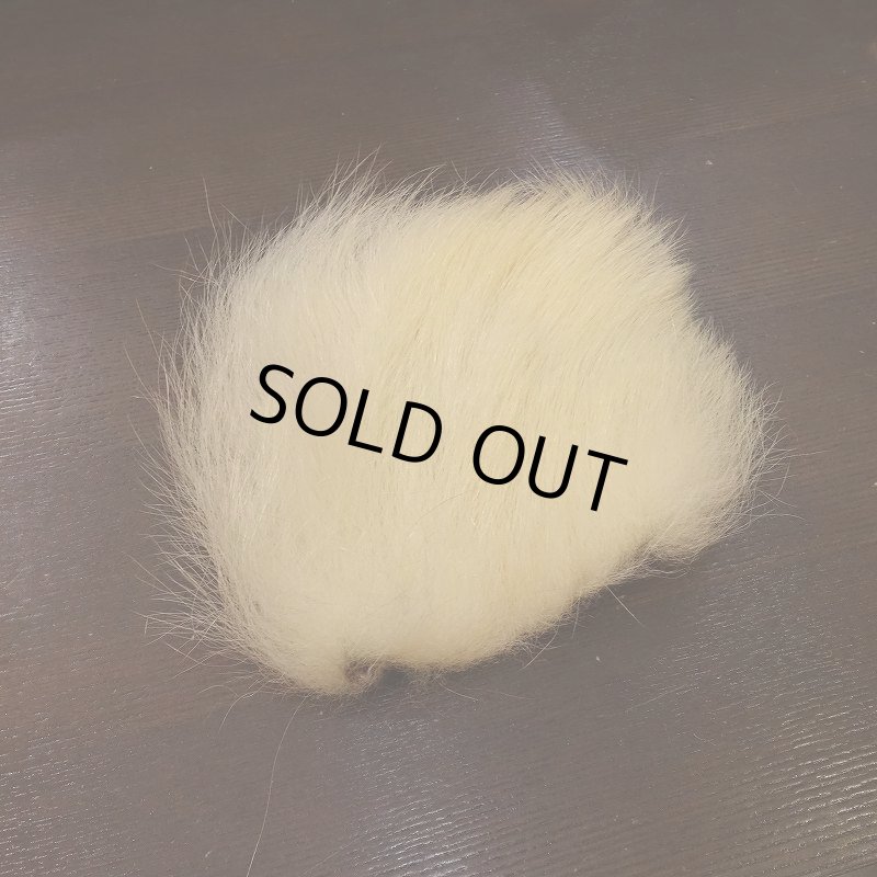 画像1: 【D】ポーラーベアー　ナチュラル　ラージカット 1 (1)