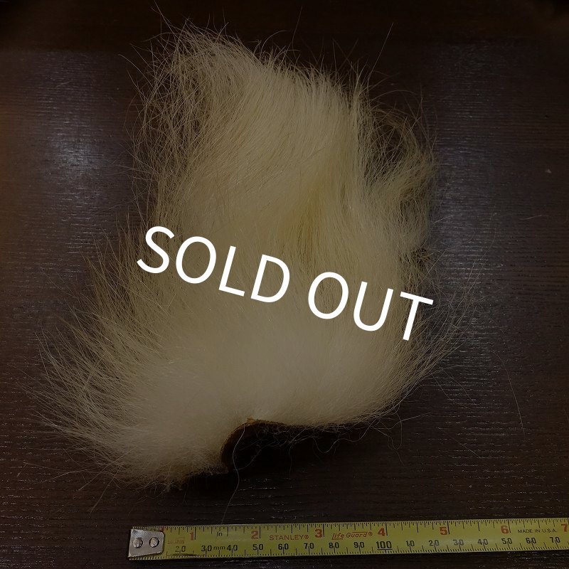 画像1: 【D】ポーラーベアー　ナチュラル　ラージカット 3 (1)