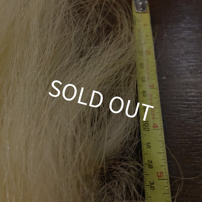 画像4: 【D】ポーラーベアー　ナチュラル　ラージカット 3 (4)