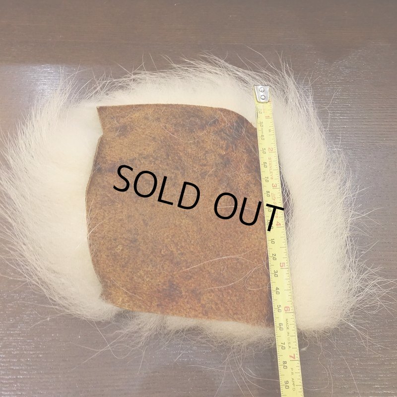 画像3: 【D】ポーラーベアー　ナチュラル　ラージカット 1 (3)