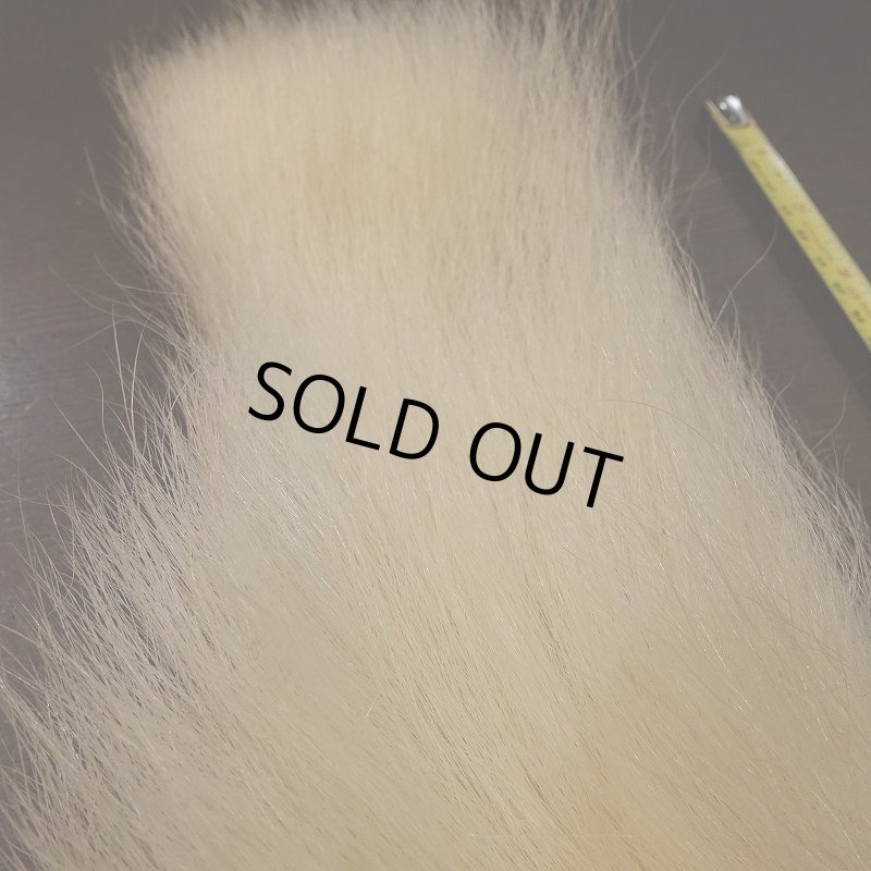 画像5: 【D】ポーラーベアー　ナチュラル　ラージカット 2 (5)