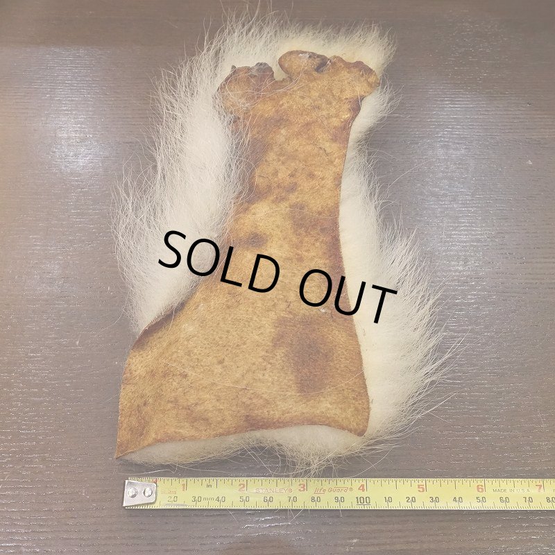 画像3: 【D】ポーラーベアー　ナチュラル　ラージカット 2 (3)