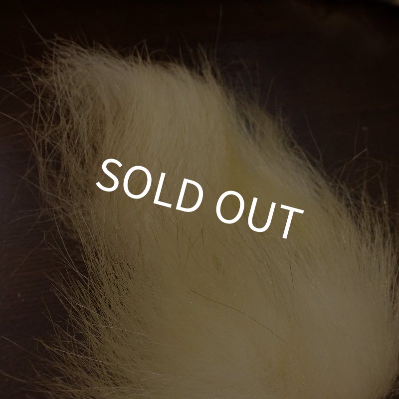 画像2: 【D】ポーラーベアー　ナチュラル　ラージカット 3 (2)