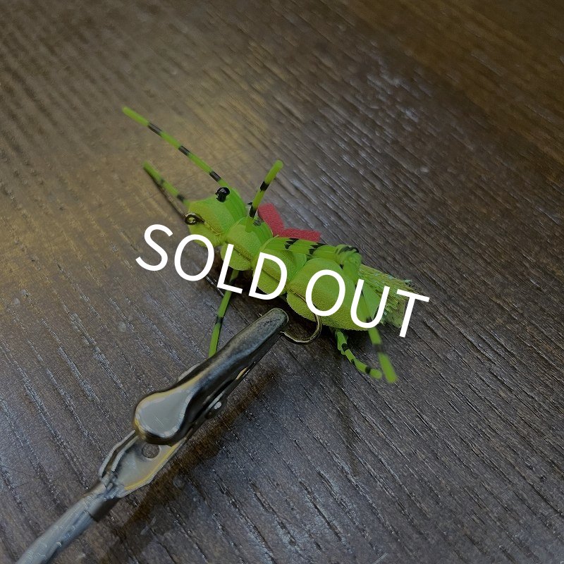 画像2: 【Rainy's】Hi-Viz Hopper - Chartreuse (2)