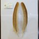 【CANAL】TURKEY QUILL Cinnaon No.2