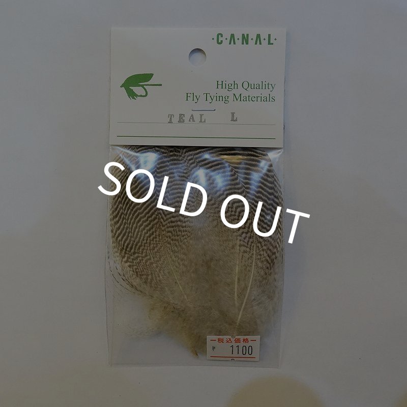 画像1: 【CANAL】TEAL フェザー L (1)