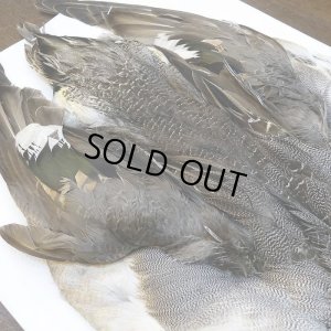 画像5: 【CANAL】ピンテール・コンプリート No.3