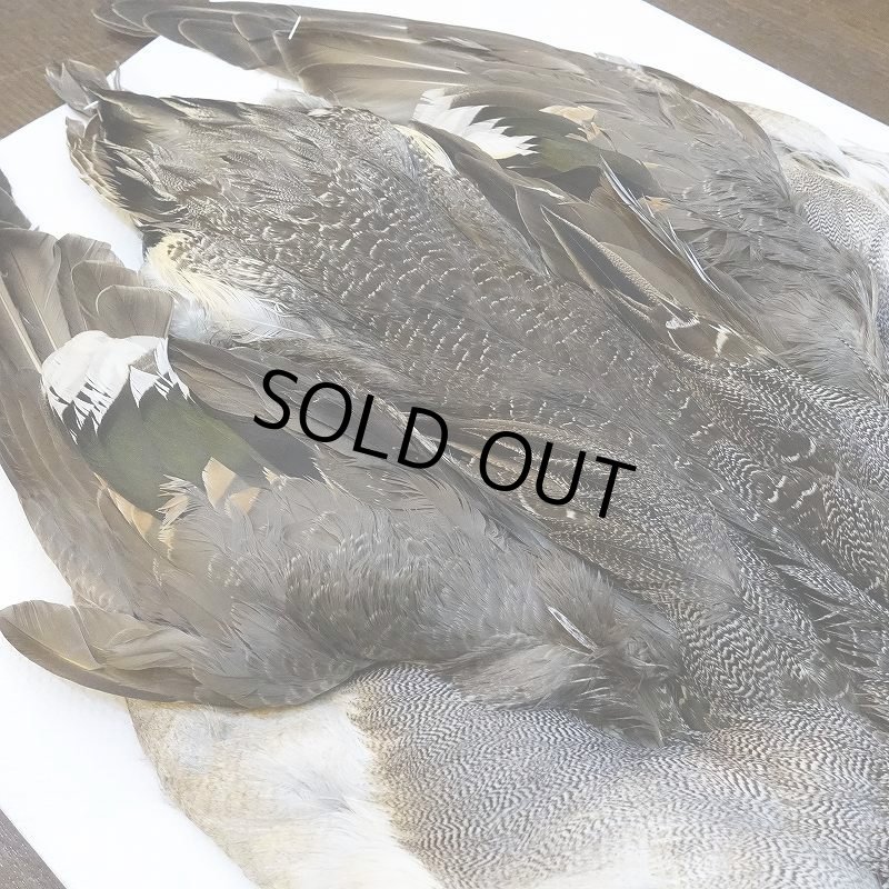 画像5: 【CANAL】ピンテール・コンプリート No.3 (5)