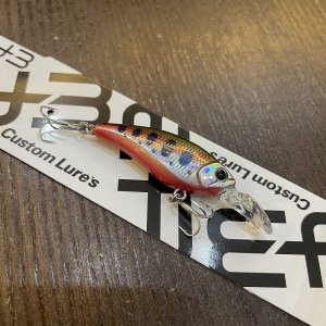 画像2: 【D-3 Custom Lure's】バルキンド 40S