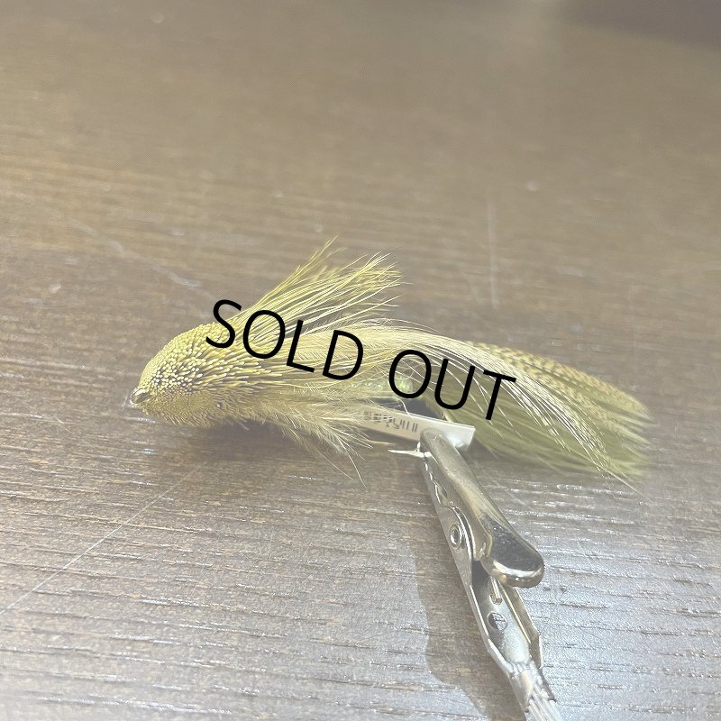 画像3: 【Rainy's】Galloup's ZOO COUGER (3)