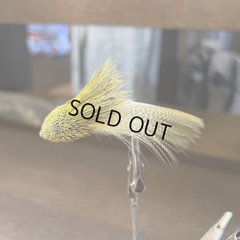 画像2: 【Rainy's】Galloup's ZOO COUGER (2)