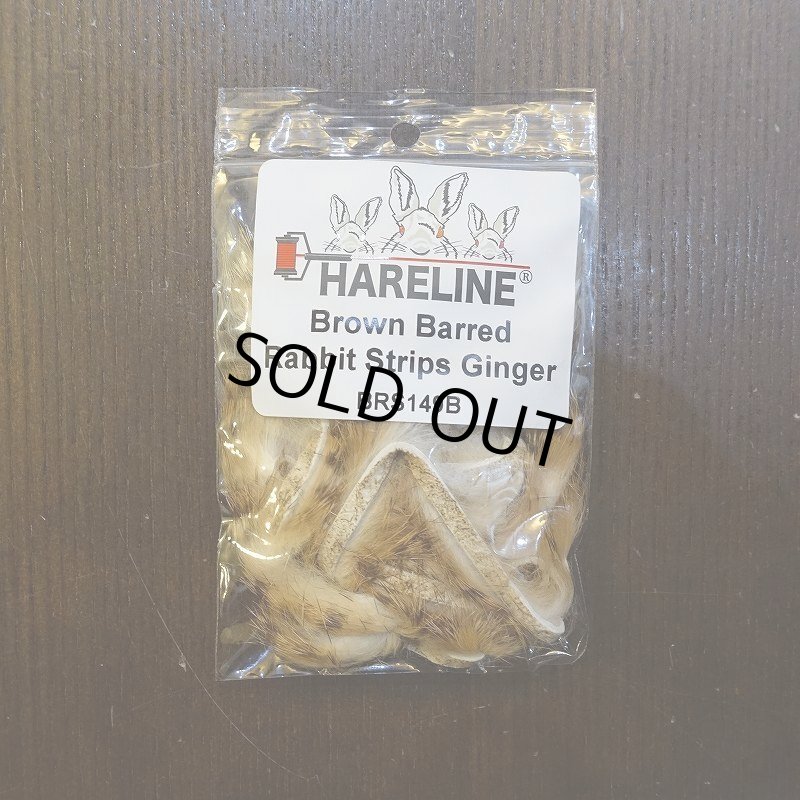 画像2: 【HARELINE】Brown Barred Rabbit Strips 1/8" (2)