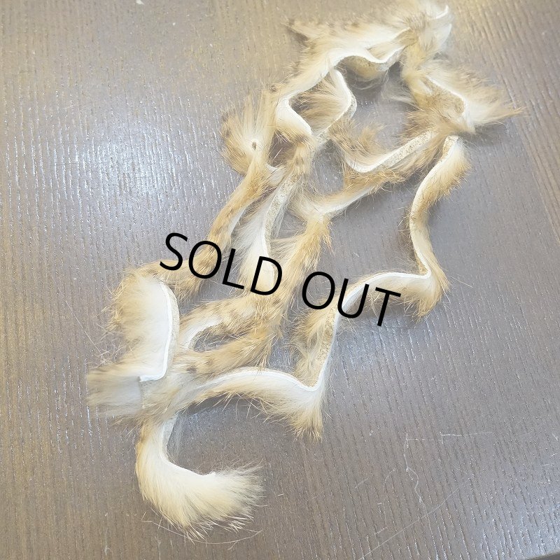 画像3: 【HARELINE】Brown Barred Rabbit Strips 1/8" (3)