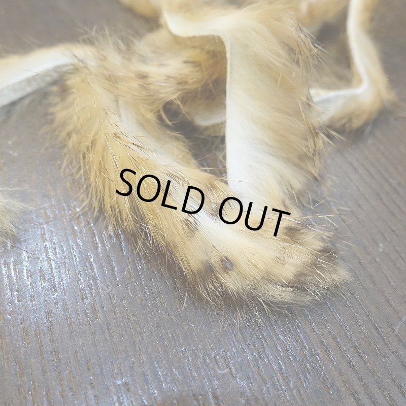 画像4: 【HARELINE】Brown Barred Rabbit Strips 1/8" (4)