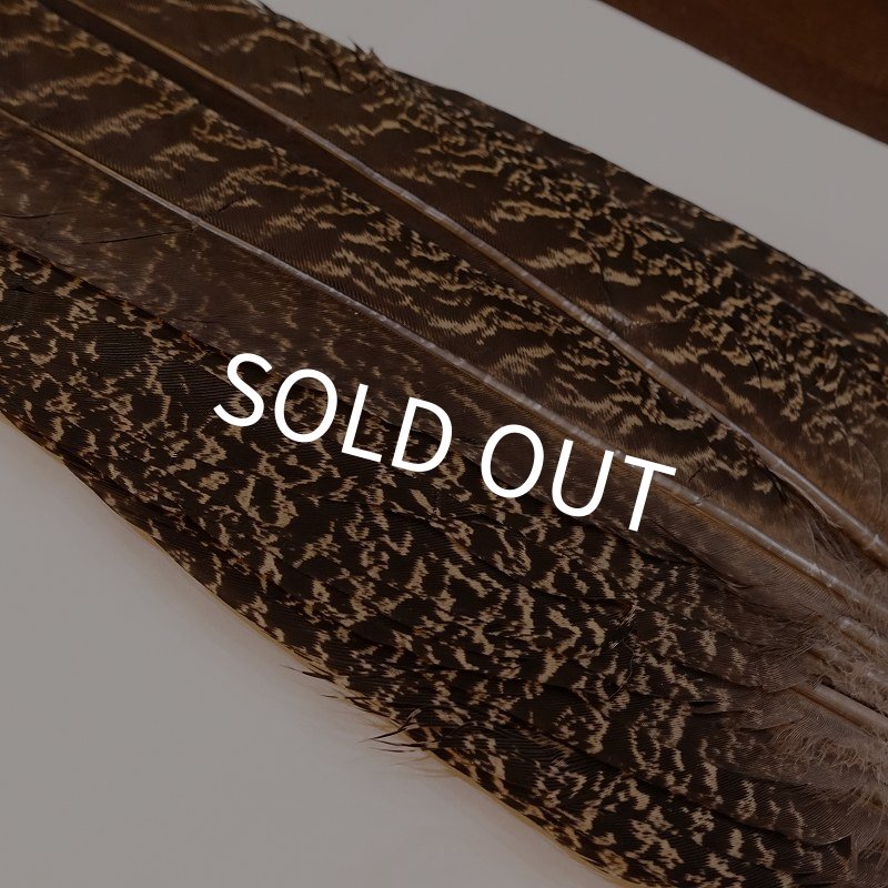 画像2: 【CANAL】PEAHEN TAIL (2)