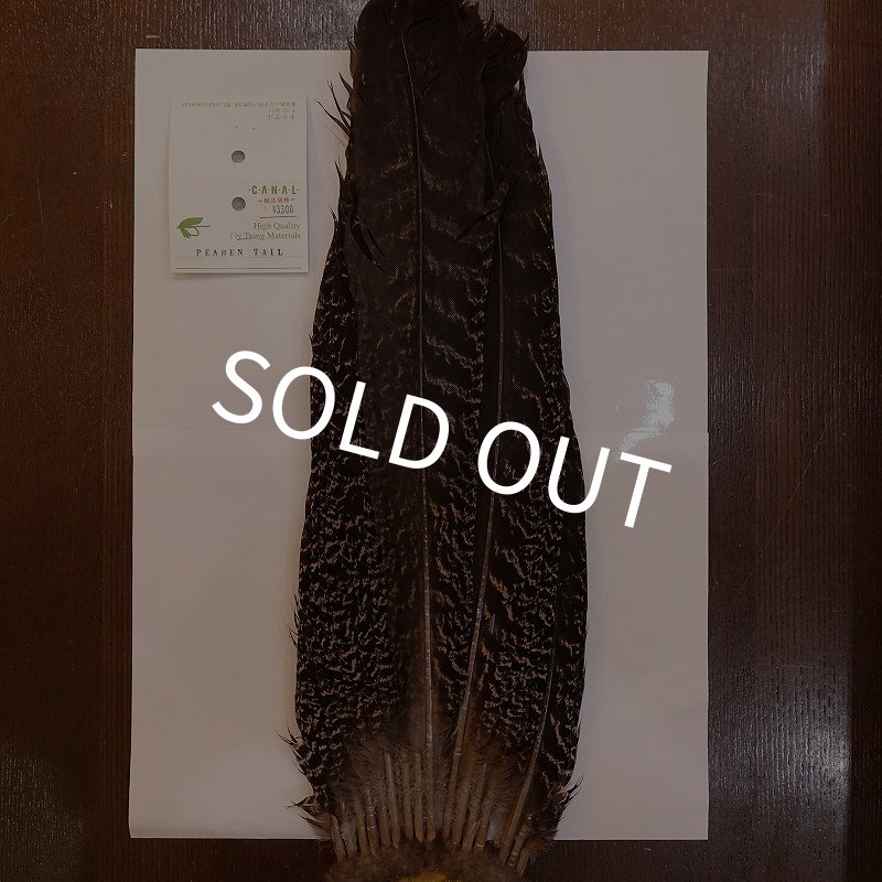 画像1: 【CANAL】PEAHEN TAIL (1)