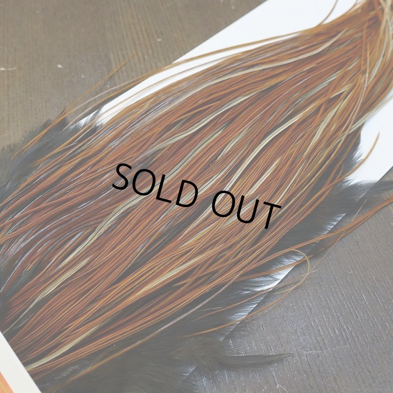 画像2: 【WHITING】Rooster Saddle Pro Grade Furnace #14 No.2 (2)