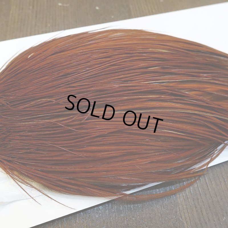 画像5: 【Whiting】ROOSTER CAPE Silver Grade - BROWN (5)