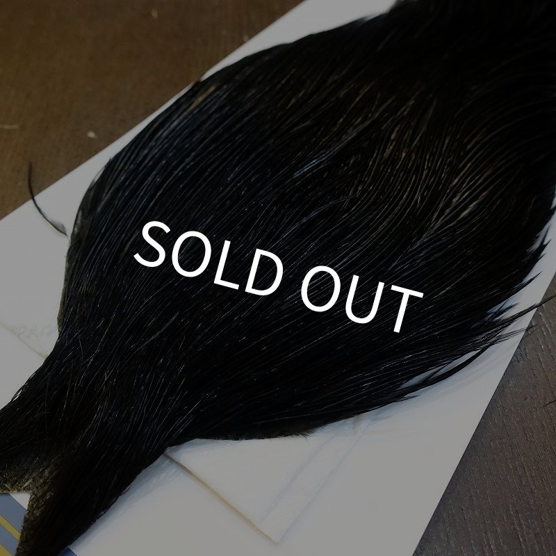 画像2: 【WHITING】High & Dry ROOSTER Cape - DYED BLACK No.6 (2)