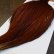 画像4: 【Whiting】ROOSTER CAPE Silver Grade - BROWN (4)