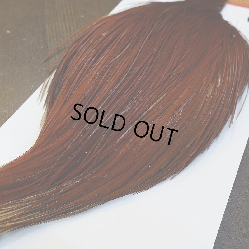 画像4: 【Whiting】ROOSTER CAPE Silver Grade - BROWN (4)