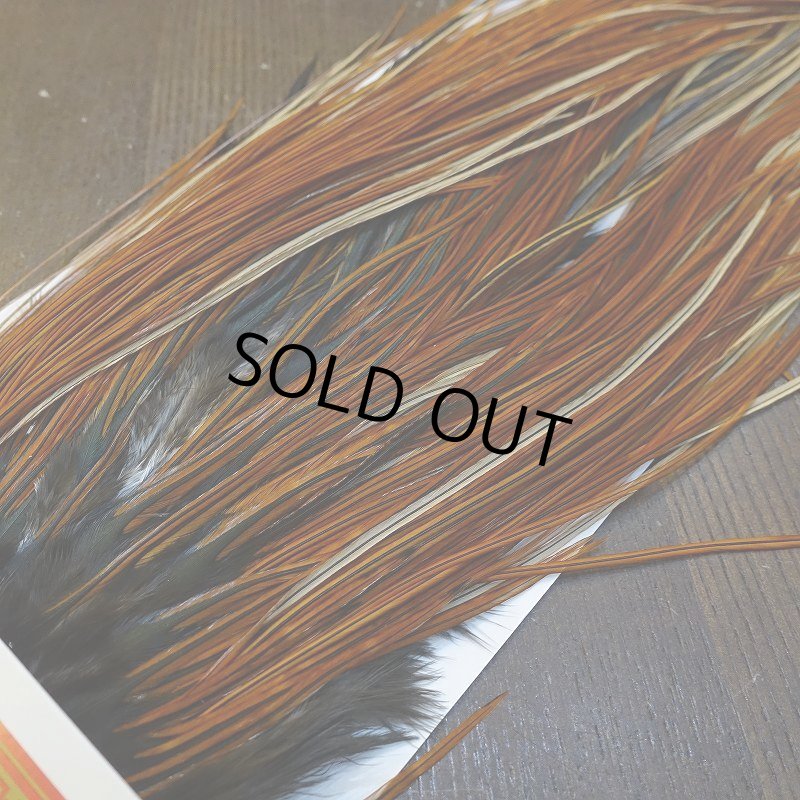 画像2: 【WHITING】Rooster Saddle Pro Grade Furnace #16 No.1 (2)