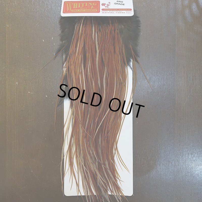 画像1: 【WHITING】Rooster Saddle Pro Grade Furnace #14 No.2 (1)