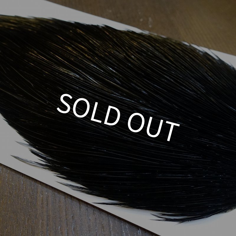 画像3: 【WHITING】High & Dry ROOSTER Cape - DYED BLACK No.7 (3)