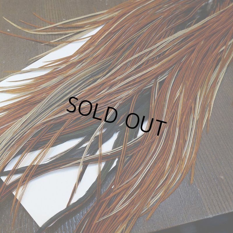 画像4: 【WHITING】Rooster Saddle Pro Grade Furnace #16 No.1 (4)