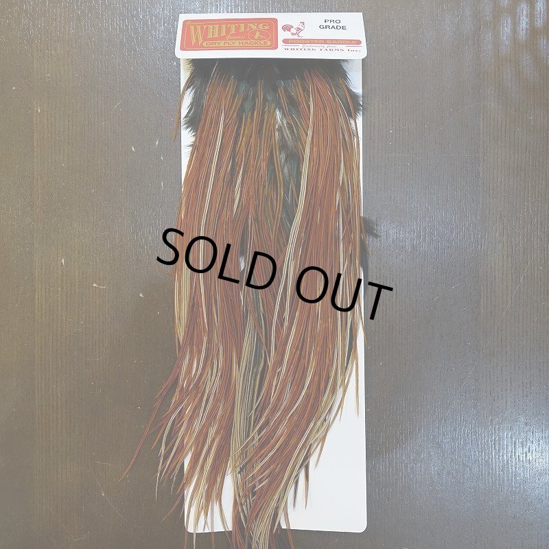 画像1: 【WHITING】Rooster Saddle Pro Grade Furnace #16 No.1 (1)