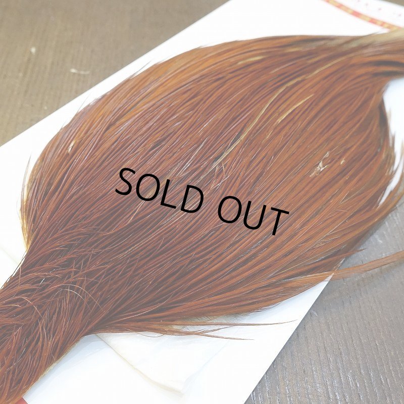 画像2: 【Whiting】ROOSTER CAPE Silver Grade - BROWN (2)