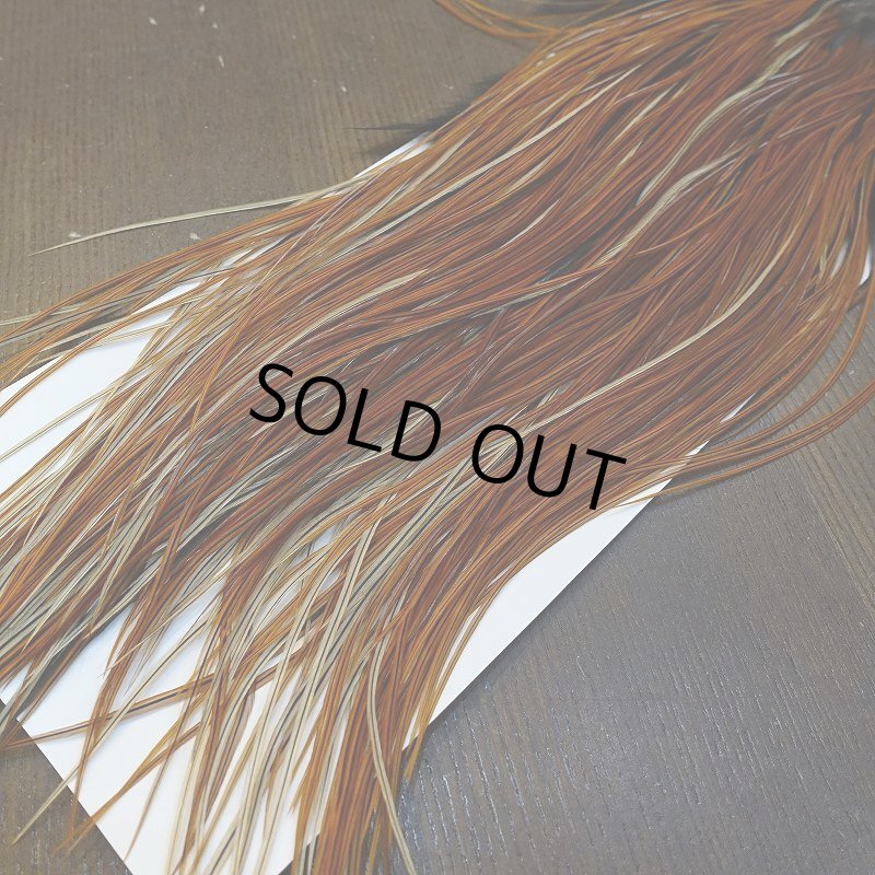 画像4: 【WHITING】Rooster Saddle Pro Grade Furnace #14 No.2 (4)