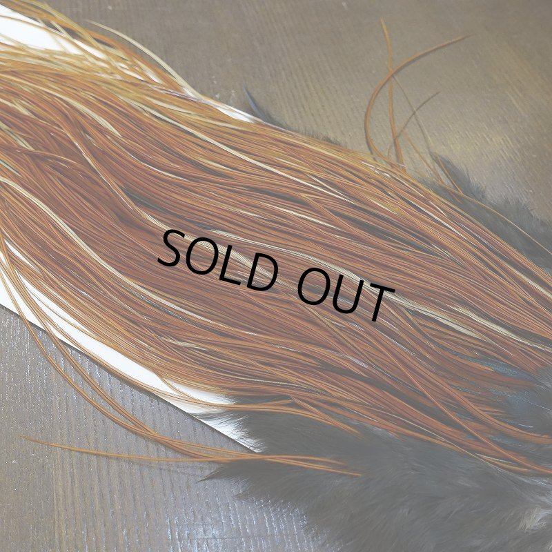 画像3: 【WHITING】Rooster Saddle Pro Grade Furnace #14 No.2 (3)