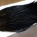 画像6: 【Whiting】ROOSTER CAPE Silver Grade - DYED BLACK