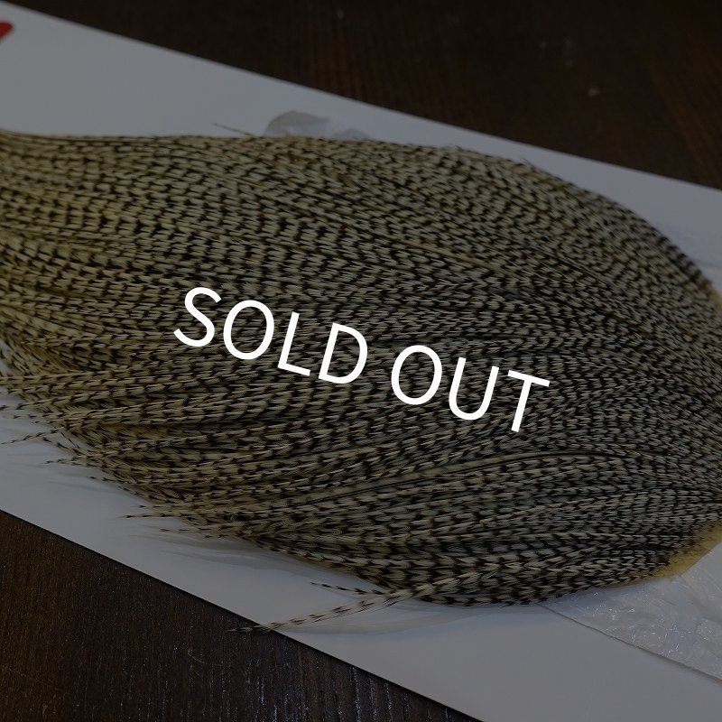 画像3: 【Whiting】ROOSTER CAPE Bronze Grade - Grizzly Variant (3)