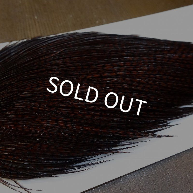 画像4: 【WHITING】High & Dry ROOSTER Cape - Dyed Grizzly Coachman Brown No.3 (4)