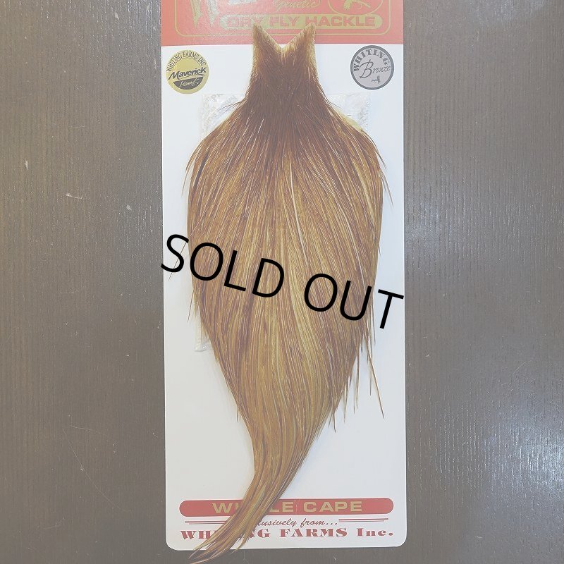 画像1: 【WHITING】ROOSTER Cape Bronze Grade - Medium Ginger No.1 (1)