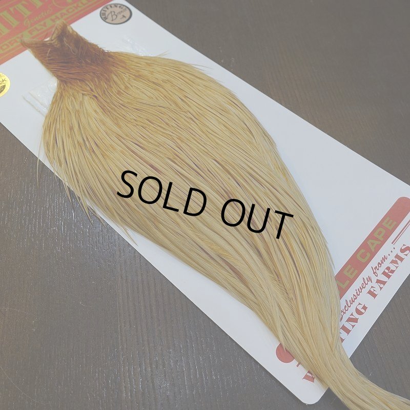 画像5: 【WHITING】ROOSTER Cape Bronze Grade - LightGinger No.1 (5)