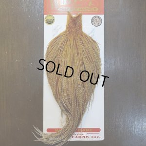 画像1: 【Whiting】ROOSTER CAPE Bronze Grade - BARRED DK GINGER No.1