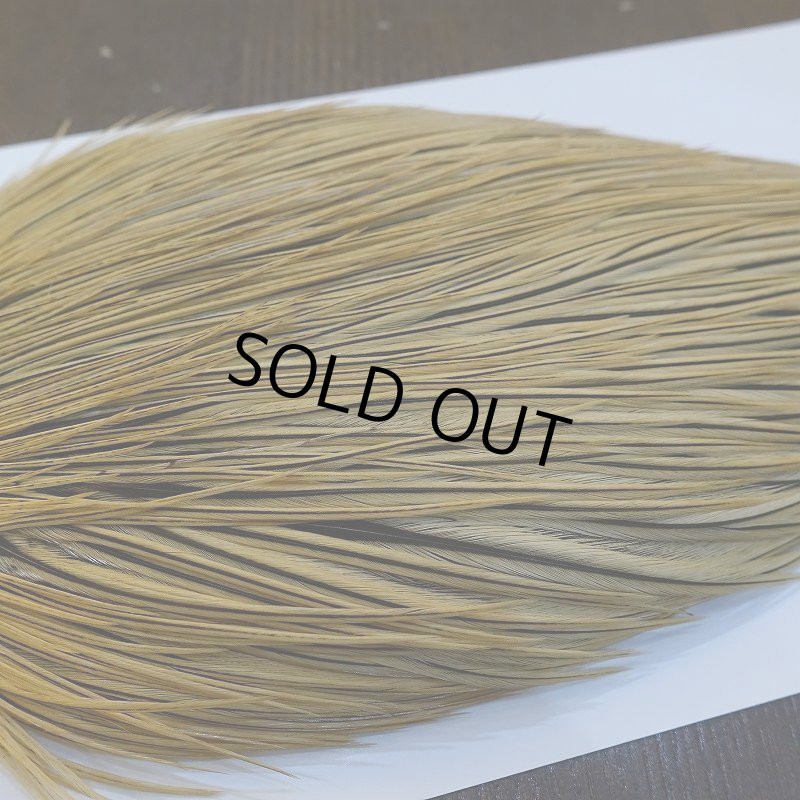 画像3: 【Whiting】ROOSTER CAPE Bronze Grade - GOLDEN BADGER No.2 (3)