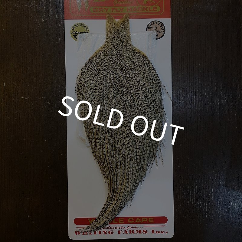 画像1: 【Whiting】ROOSTER CAPE Bronze Grade - Grizzly Variant (1)