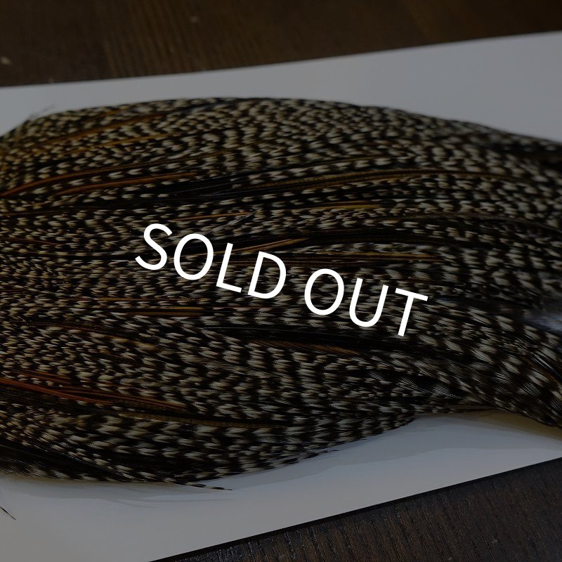 画像4: 【WHITING】High & Dry ROOSTER Cape - Grizzly Variant No.1 (4)