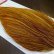 画像3: 【WHITING】ROOSTER Cape Bronze Grade - Medium Ginger No.3 (3)