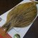 画像2: 【Whiting】ROOSTER CAPE Bronze Grade - GOLDEN BADGER No.2 (2)