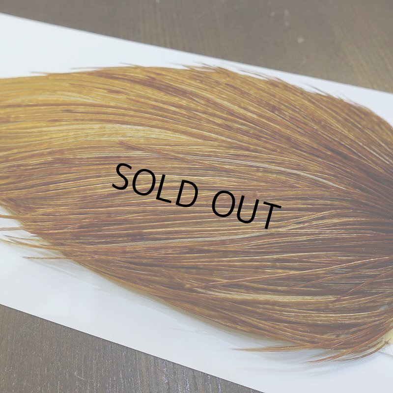 画像3: 【WHITING】ROOSTER Cape Bronze Grade - Medium Ginger No.1 (3)